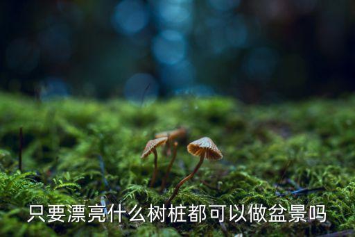 树桩盆景，只要漂亮什么树桩都可以做盆景吗