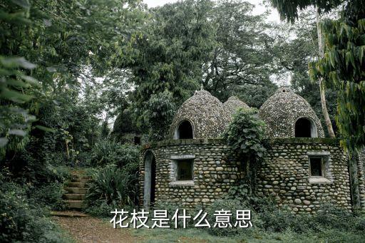 花枝是什么意思