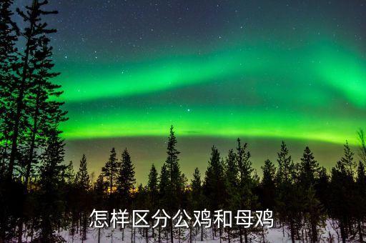 怎么区分公鸡母鸡，怎么分辨公鸡和母鸡