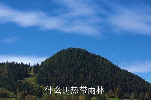 热带雨林资料，什么叫热带雨林