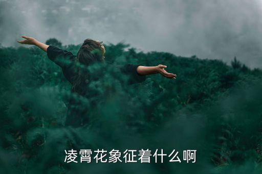 凌霄花象征着什么啊