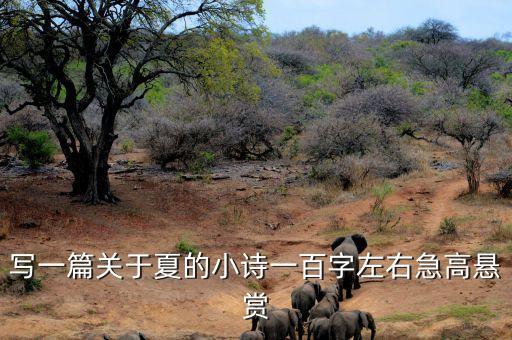 亮晶女贞，小叶女贞嫁接亮晶女贞几月份