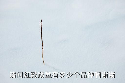请问红鹦鹉鱼有多少个品种啊谢谢