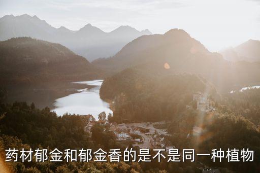 郁金图片，霍金的图片