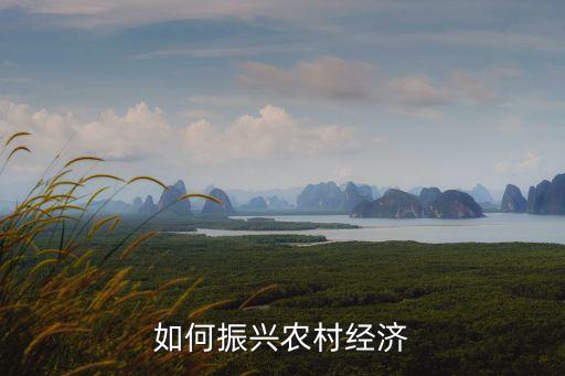 如何振兴农村经济