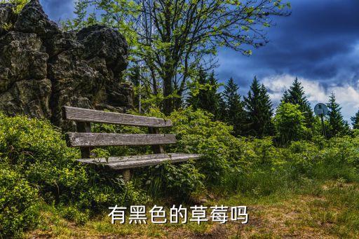黑黑草莓，黑巴克草莓是什么品种转基因