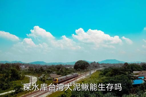 深水库台湾大泥鳅能生存吗