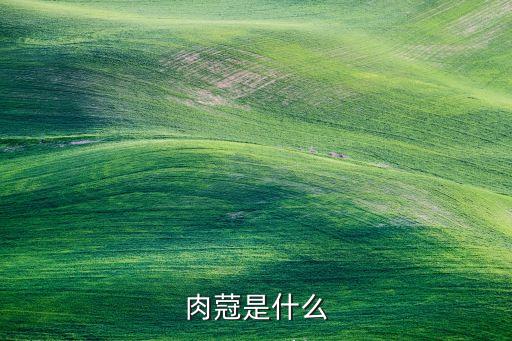 肉蒄是什么