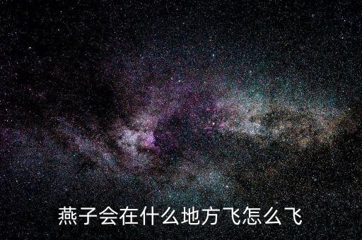 燕子会在什么地方飞怎么飞