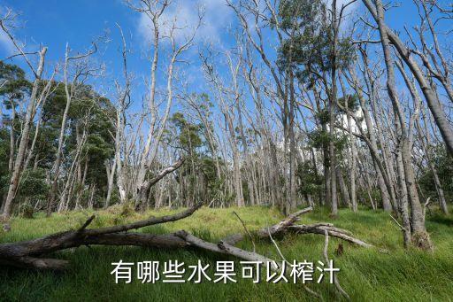 适合榨汁的水果，什么水果榨果汁最好喝