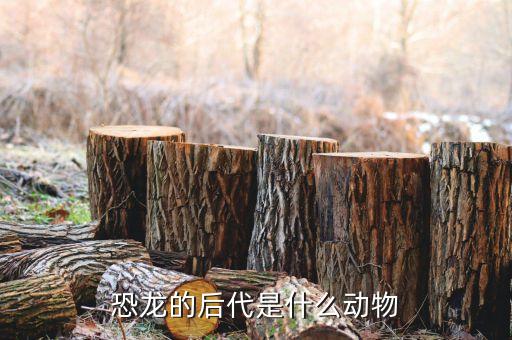 恐龙的后代是什么动物