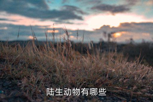 陆生动物，陆生动物有哪些