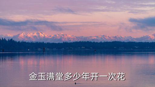 金玉满堂植物，金玉满堂是什么花