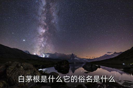 白茅根，白茅根