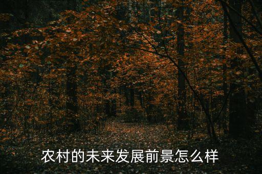农业农村前途怎么样，农村的未来发展前景怎么样