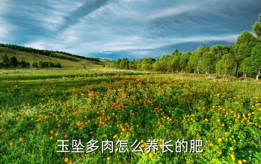 玉坠多肉怎么养长的肥