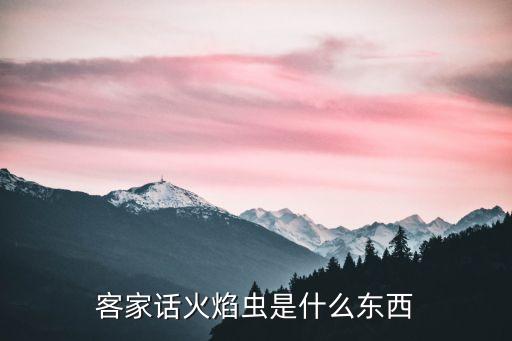客家话火焰虫是什么东西