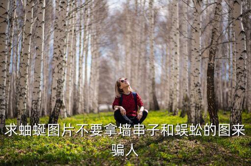 鼯鼠图片，介绍一下豚鼠吧要带图片哦