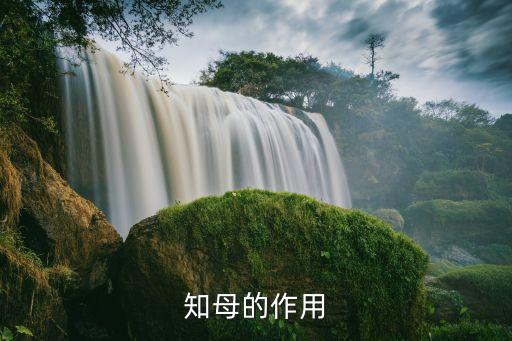 知母的作用