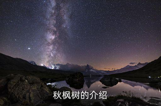 秋枫，秋枫 代表什么意思