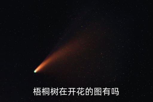 梧桐树开花图片，梧桐树花的图片