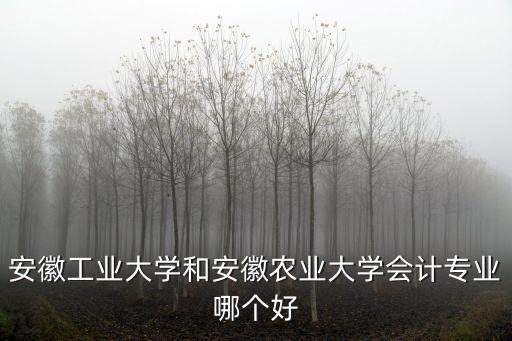 安徽农业会计怎么样，安徽农业大学会计专业好不好求问学姐学哥