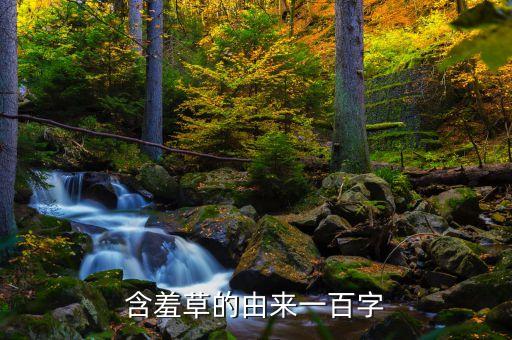 含羞草传，含羞草属于什么科植物