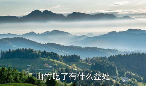 山竹吃了有什么益处
