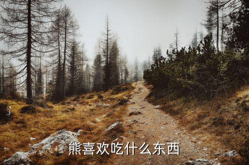熊吃什么食物，小熊喜欢吃什么