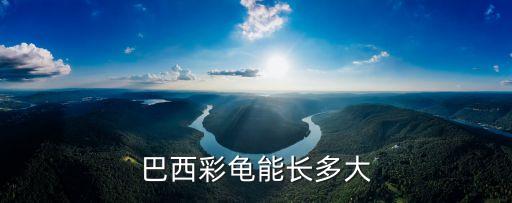 巴西彩龟能长多大