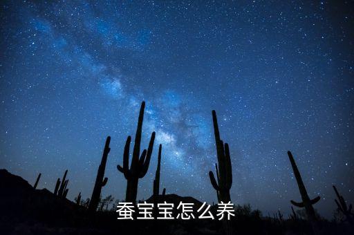蚕宝宝怎么养