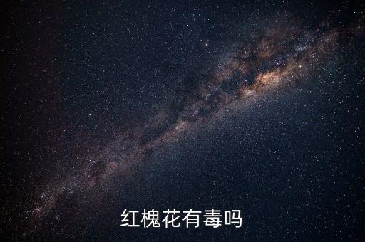 槐树花有毒吗，槐花未开展时有毒吗