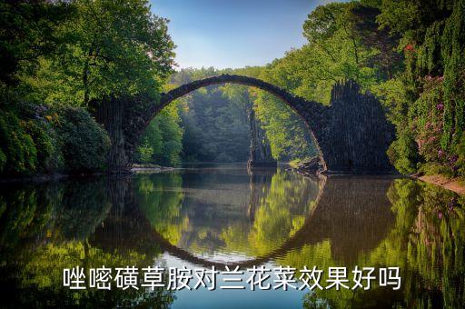 唑嘧磺草胺，唑嘧磺草胺对兰花菜效果好吗