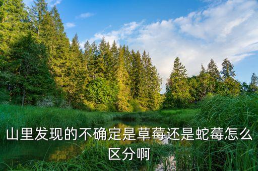 山里发现的不确定是草莓还是蛇莓怎么区分啊