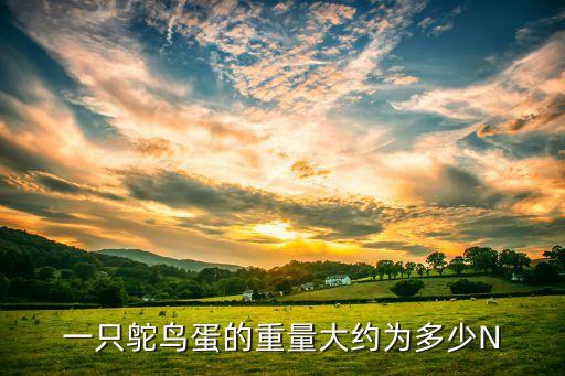 一只鸵鸟蛋的重量大约为多少N