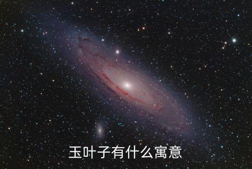 玉叶子有什么寓意