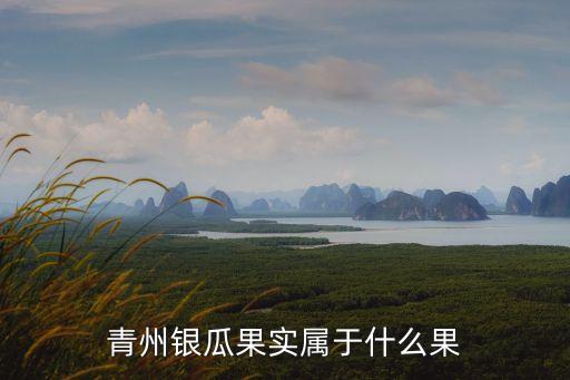 青州银瓜，青州弥河银瓜好吃吗
