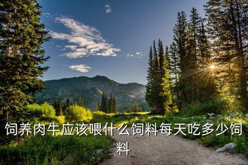饲养肉牛应该喂什么饲料每天吃多少饲料