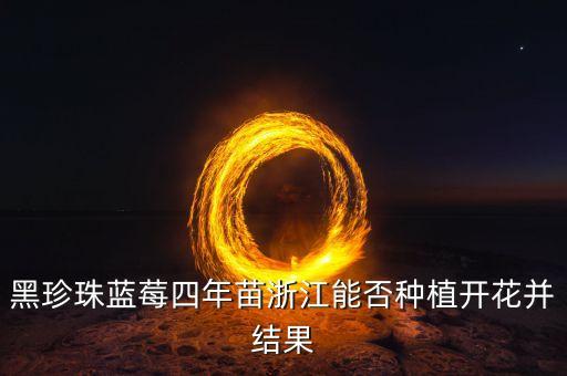 黑珍珠蓝莓四年苗浙江能否种植开花并结果