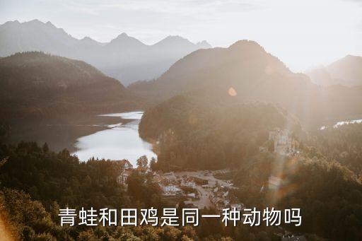 青蛙和田鸡是同一种动物吗
