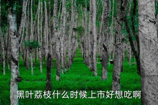 黑叶荔枝什么时候上市好想吃啊