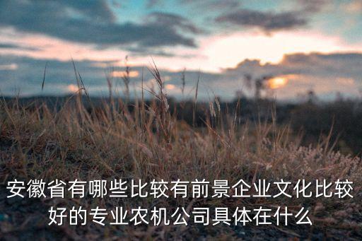 安徽省有哪些比较有前景企业文化比较好的专业农机公司具体在什么