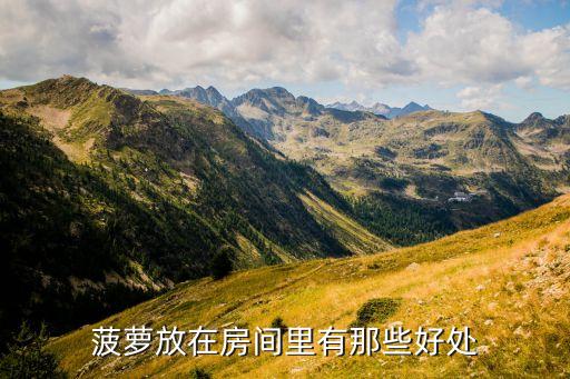 菠萝放在房间里有那些好处