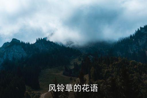风铃草的花语