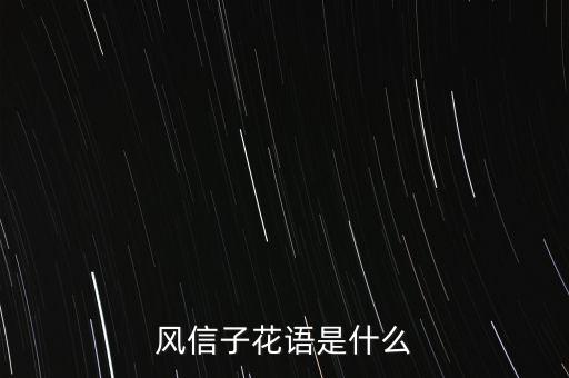 风信子花语是什么