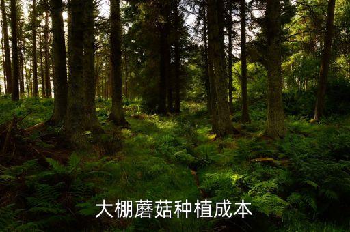 大棚蘑菇种植成本