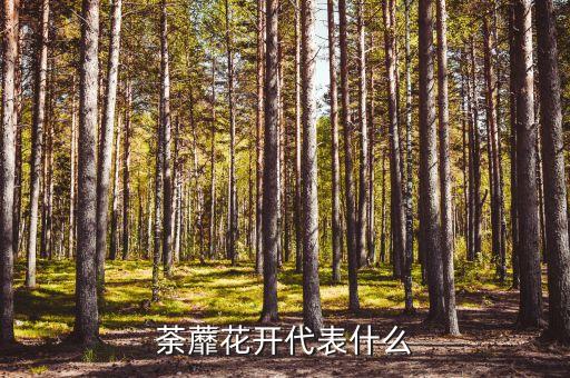 荼蘼花开代表什么