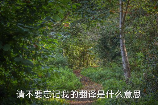 请不要忘记我的翻译是什么意思