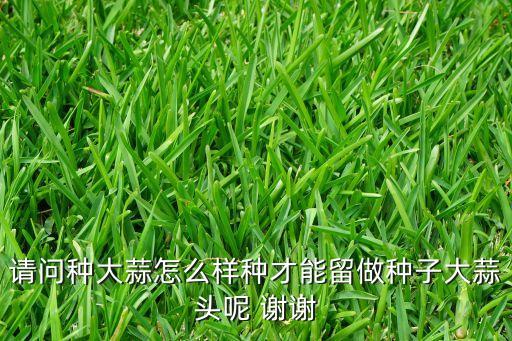 独头蒜怎么留种子，独头蒜怎么留种
