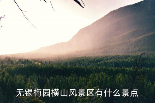 无锡梅园简介，无锡梅园门票多少钱
